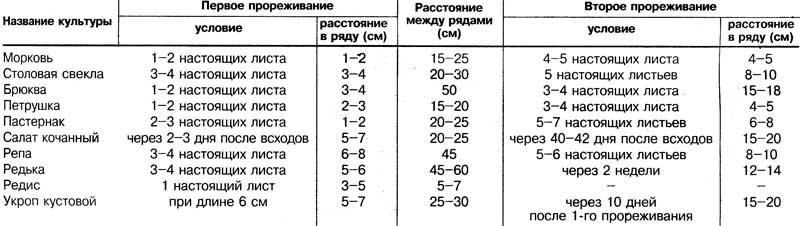 Как правильно проредить посевы, таблицы дистанций