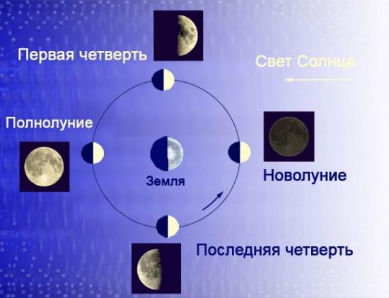 Лунный календарь для посадки: нужно ли его соблюдать