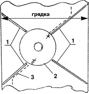 Моя борьба с кротами на огороде