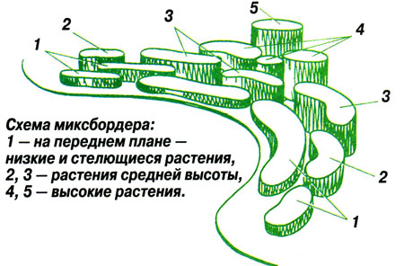 СОВЕТЫ ЦВЕТОВОДА, ЧТО НАДО ЗНАТЬ О ЦВЕТАХ