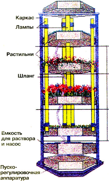 Советы по выращиванию овощей в квартире, как сэкономить место